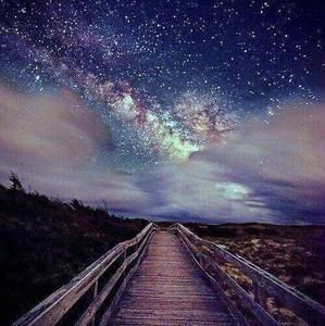 Meet your Posher, Raneen